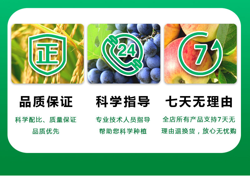 汉邦擅赢18%氟啶虫酰胺啶虫脒黄瓜蚜虫腻虫农药杀虫剂1