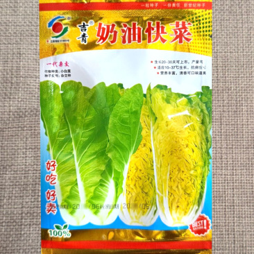 奶油快菜种子杂交小白菜种籽生长快耐热耐湿耐寒抗病蔬菜种子