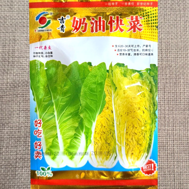 奶油快菜种子杂交小白菜种籽生长快耐热耐湿耐寒抗病蔬菜种子
