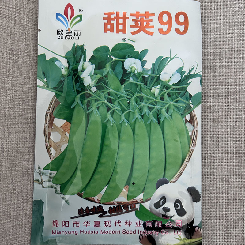 荷兰豆种子中早熟豌豆籽易种无纤维高产春秋种植大田种