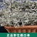 山区精选无硫翻白草新货整颗带根泡茶饮大货批发