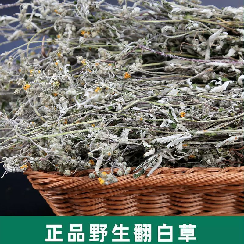 山区精选无硫翻白草新货整颗带根泡茶饮大货批发