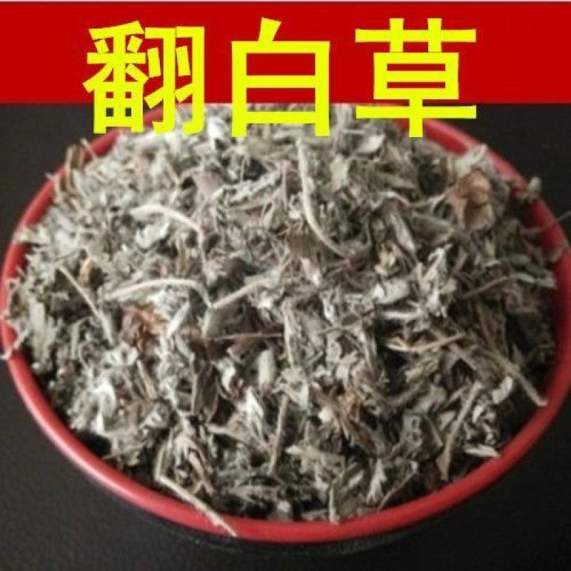 山区精选无硫翻白草新货整颗带根泡茶饮大货批发