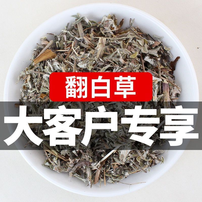 山区精选无硫翻白草新货整颗带根泡茶饮大货批发