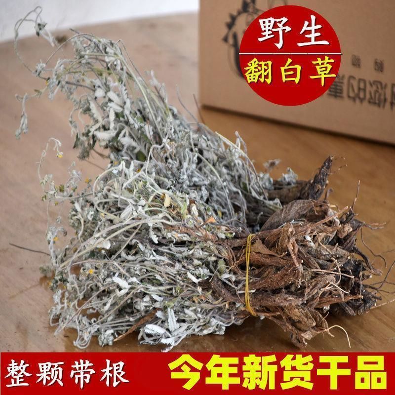 山区精选无硫翻白草新货整颗带根泡茶饮大货批发