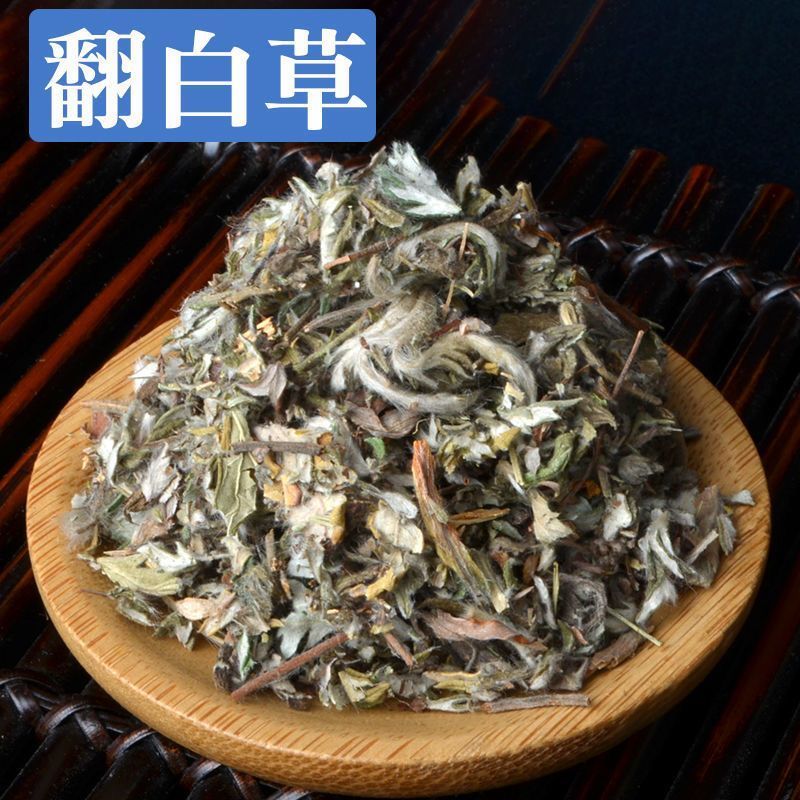 山区精选无硫翻白草新货整颗带根泡茶饮大货批发