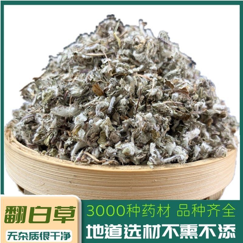 山区精选无硫翻白草新货整颗带根泡茶饮大货批发