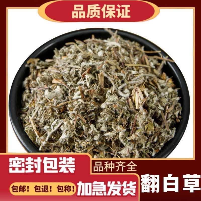 山区精选无硫翻白草新货整颗带根泡茶饮大货批发