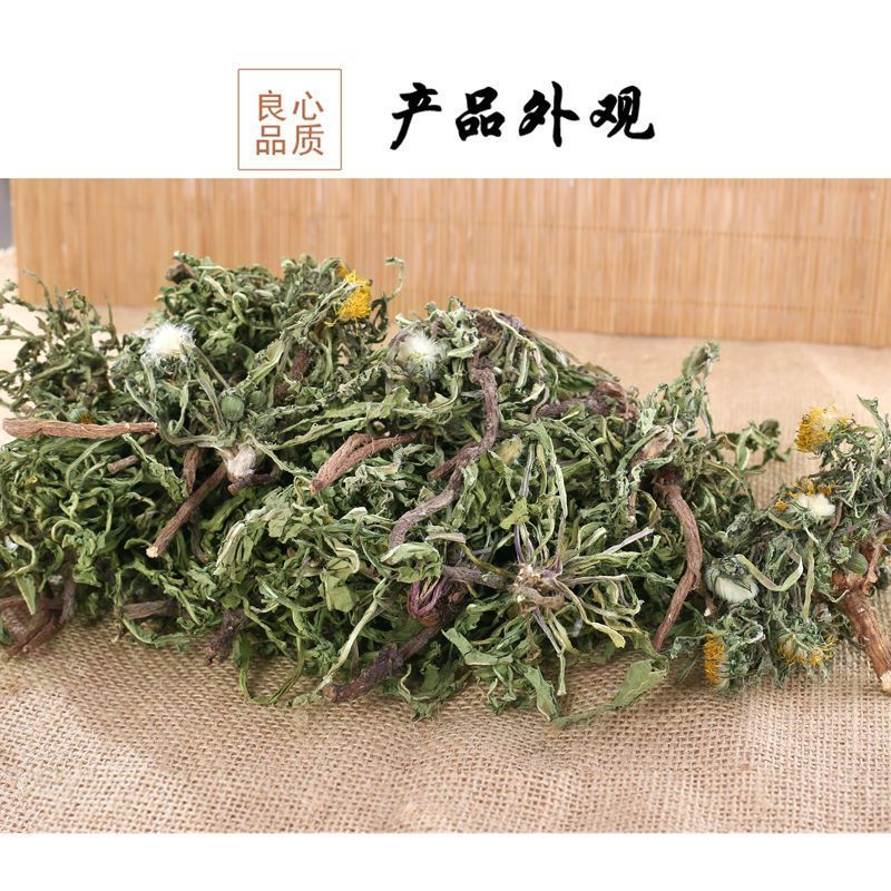 精选野生婆婆丁个无硫新货清爽泡水大货批发