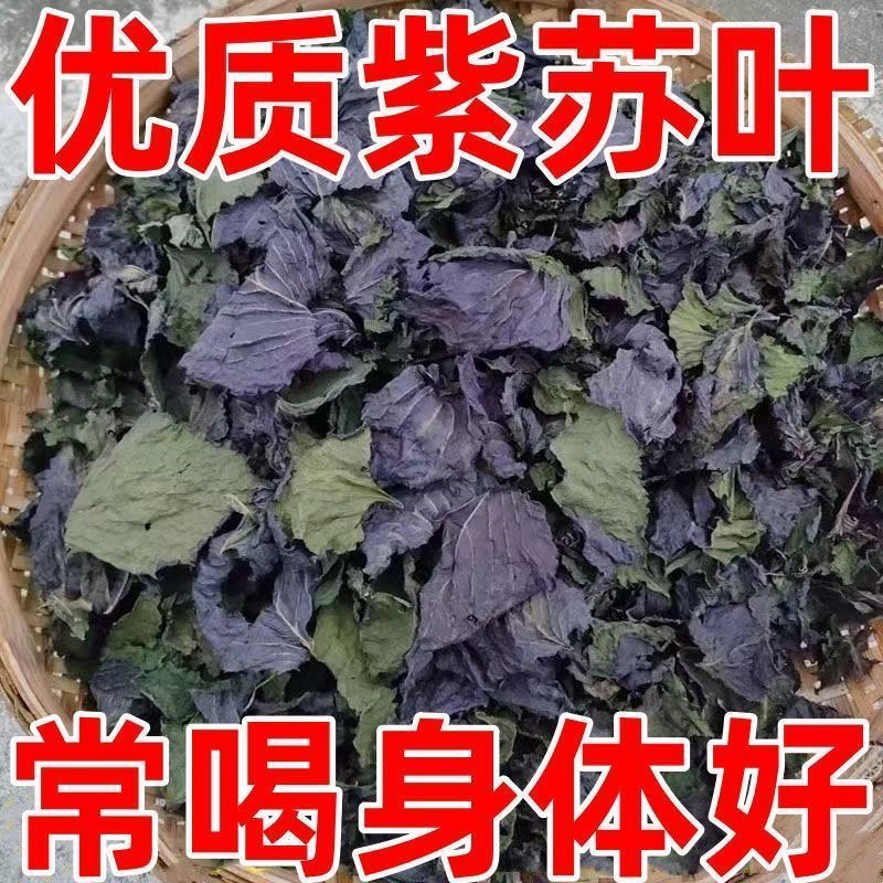 精选无硫广西紫苏叶新货干片大货批发