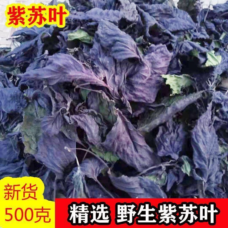 精选无硫广西紫苏叶新货干片大货批发