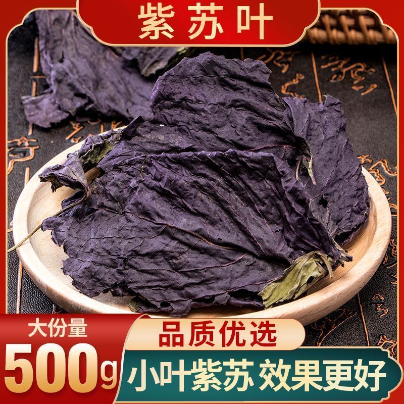 精选无硫广西紫苏叶新货干片大货批发