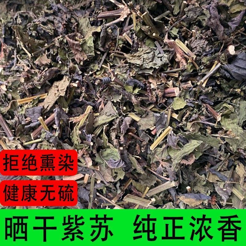 精选无硫广西紫苏叶新货干片大货批发