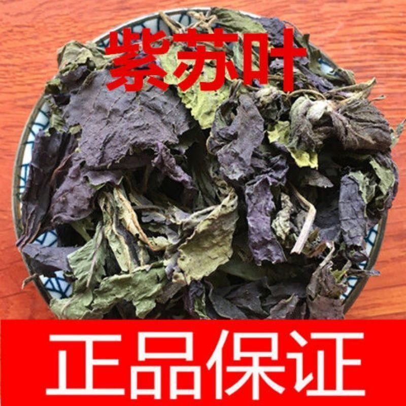 精选无硫广西紫苏叶新货干片大货批发
