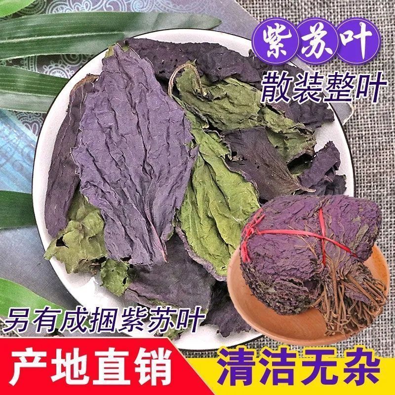 精选无硫广西紫苏叶新货干片大货批发
