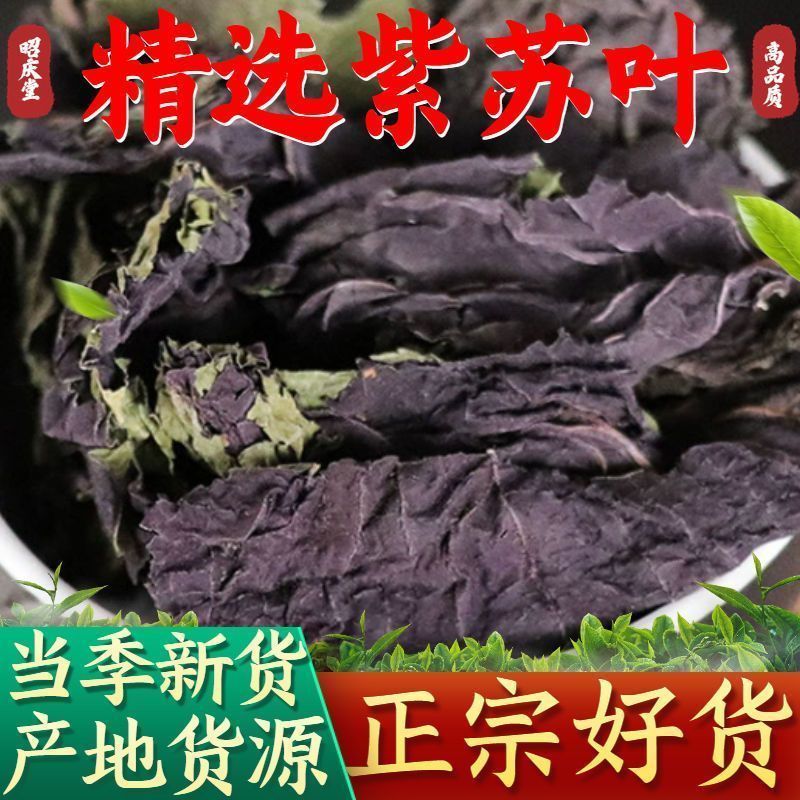 精选无硫广西紫苏叶新货干片大货批发