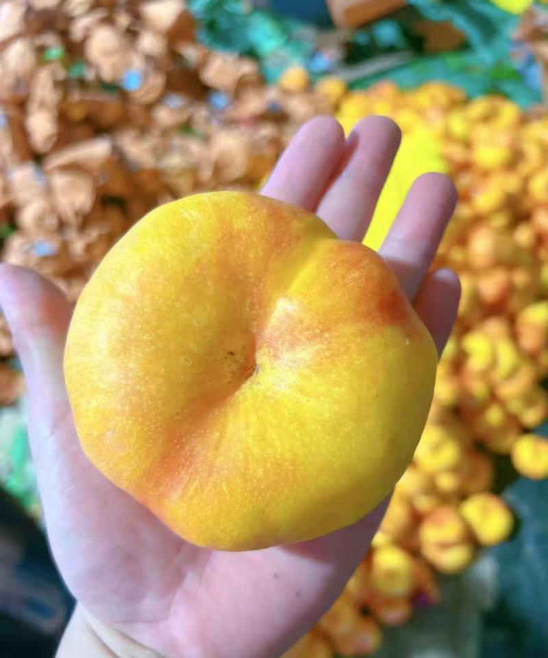 【推荐】基地直发油蟠7号桃现摘现发脆甜多汁量大价优