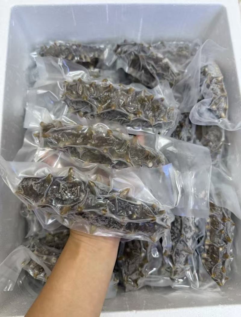 [国药]大品牌包装国标级大连即食海参独立包装