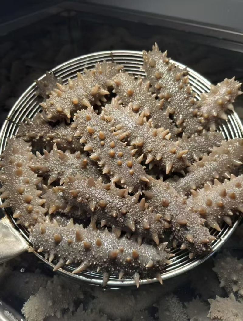 [国药]大品牌包装国标级大连即食海参独立包装
