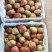 七月红梨🍐山西产地直发精品梨量大从优可对接全国电商市场