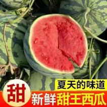 【精品】甘肃西瓜甜王西瓜基地直发物美价廉对接全国