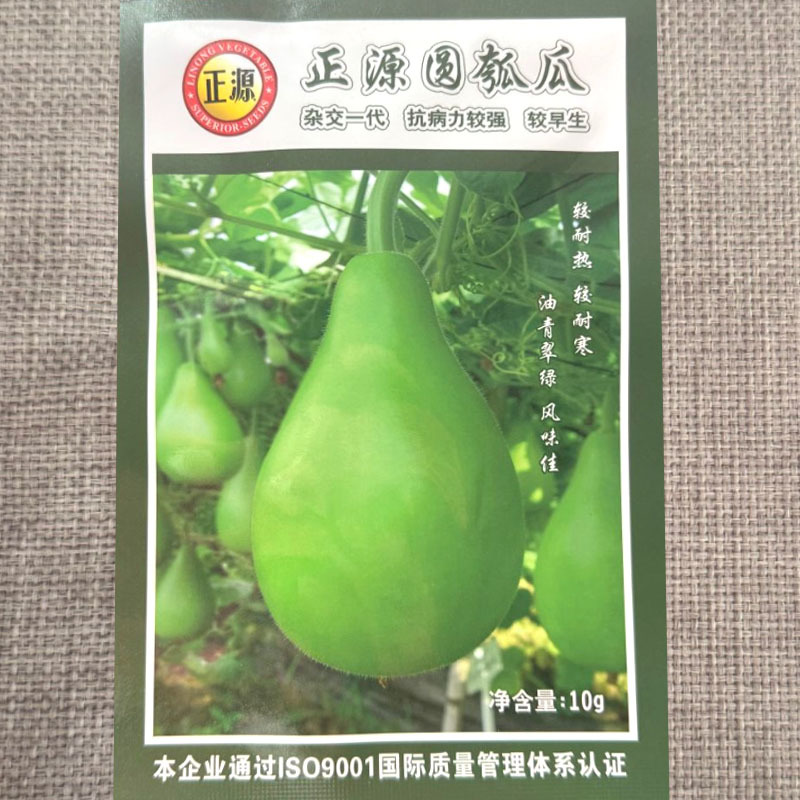 正源圆瓠瓜种子杂交早熟耐热油青翠绿甜蒲瓜菜葫芦瓠瓜种子