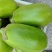 河南青茄子精品青茄产地一手货源基地直发保质保量