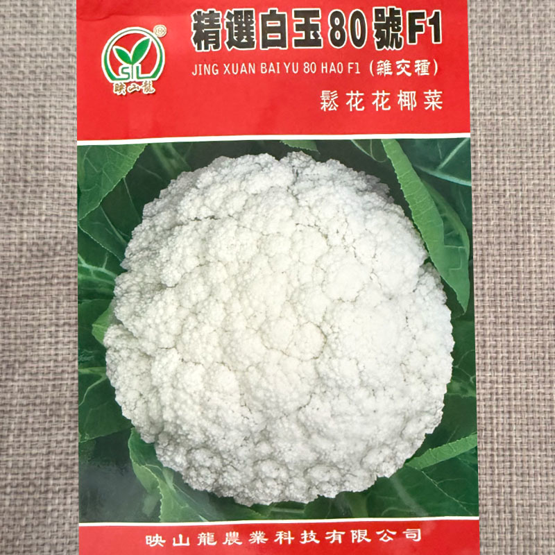 精选白玉80号松花菜种子杂交小米粒花椰菜种籽花球白美松大