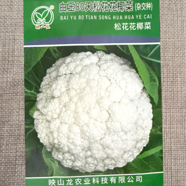 白玉80天松花菜种子小米粒花椰菜种籽花球白美松大球面圆整