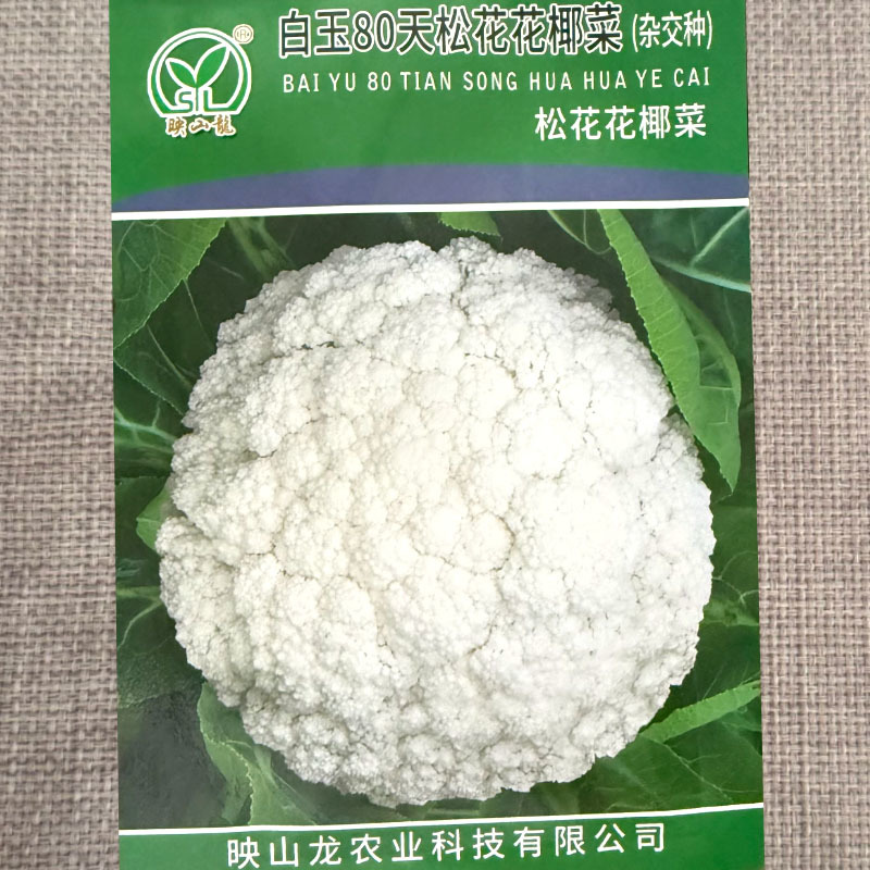 白玉80天松花菜种子小米粒花椰菜种籽花球白美松大球面圆整