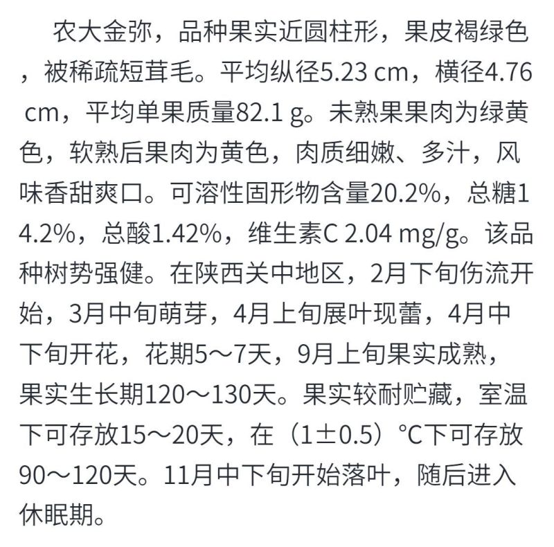 【农大金猕苗】金农二号嫁接香甜风味好黄肉黄心猕猴桃苗
