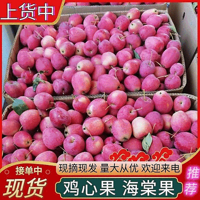 『鸡心果』辽宁铁岭西丰县/源头产地直发海棠果/全国发货