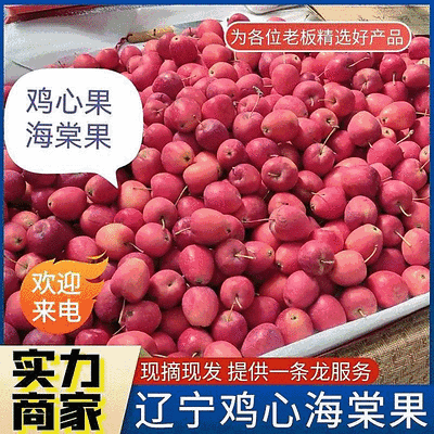 【海棠果/鸡心果】产地批发/辽宁海棠果/按需包装/规格全