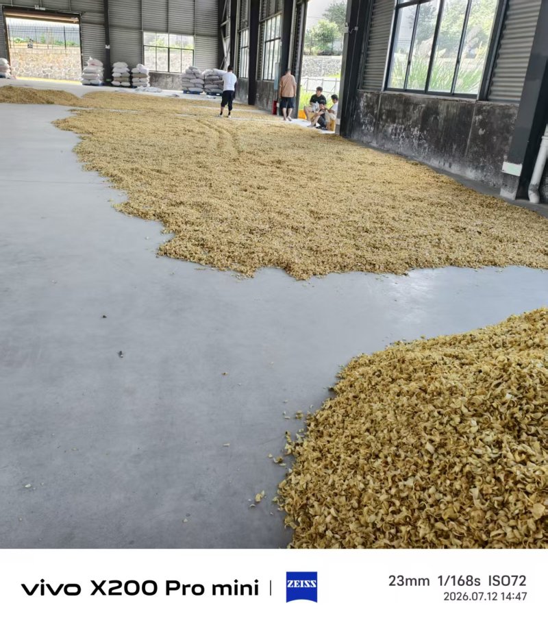 干百合大量上市品质保证价格优惠欢迎来电洽谈