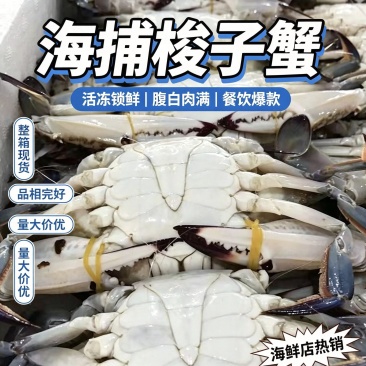 梭，螃蟹新鲜海鲜冷冻速冻活体冰冻梭子蟹毛重10斤