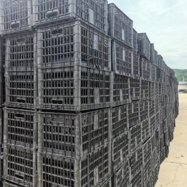 周转筐大量上市，产地直发，品质保证，量大从优
