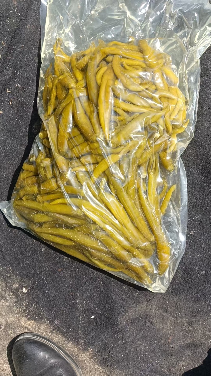 泡酱腌菜泡辣椒青辣椒厂家直发价格实惠欢迎老板联系