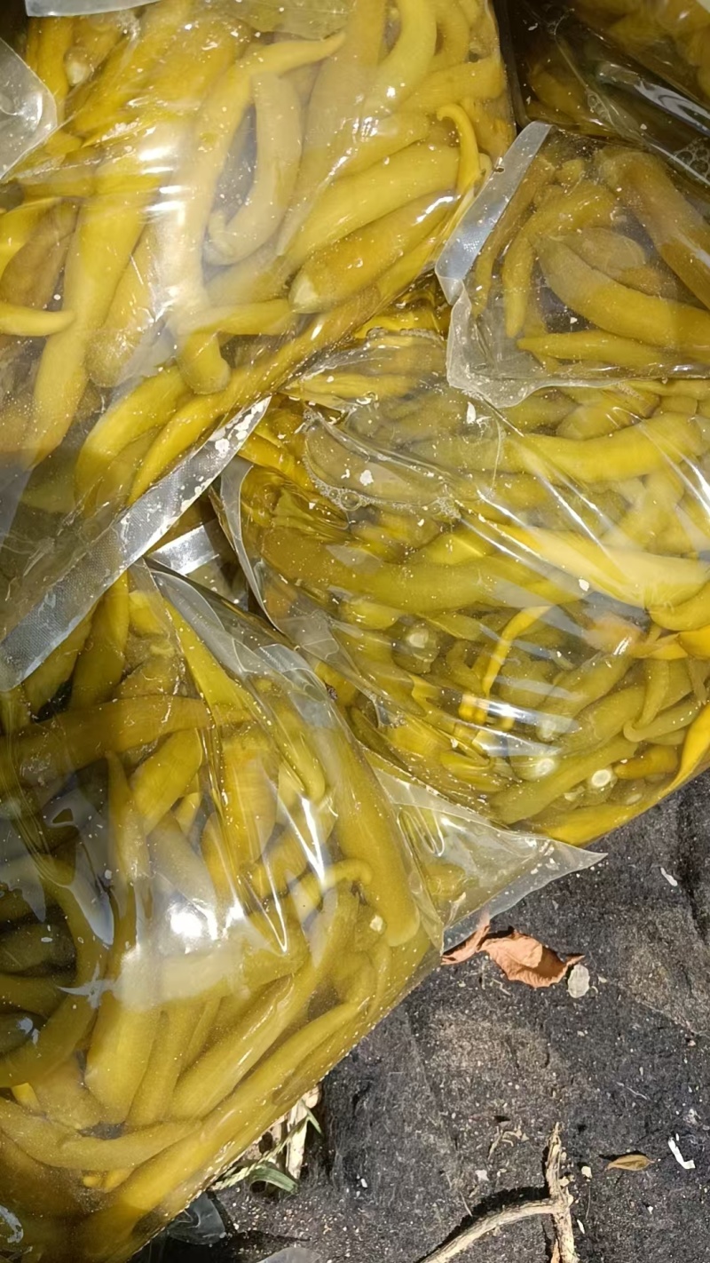 泡酱腌菜泡辣椒青辣椒厂家直发价格实惠欢迎老板联系