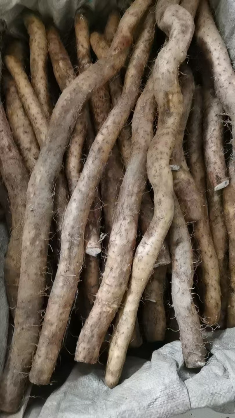 海拨二千一的生态野生山药，产地直发，品质保证，欢迎咨询