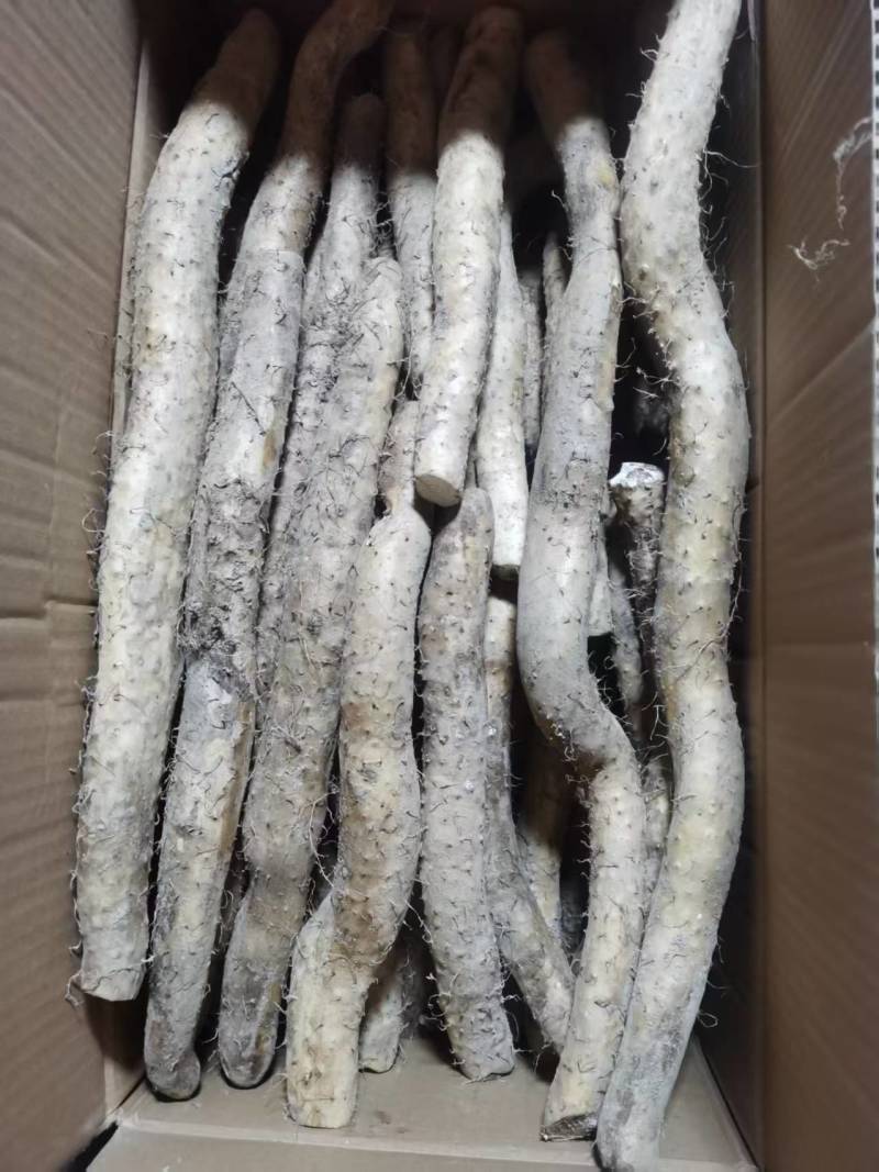 海拨二千一的生态野生山药，产地直发，品质保证，欢迎咨询