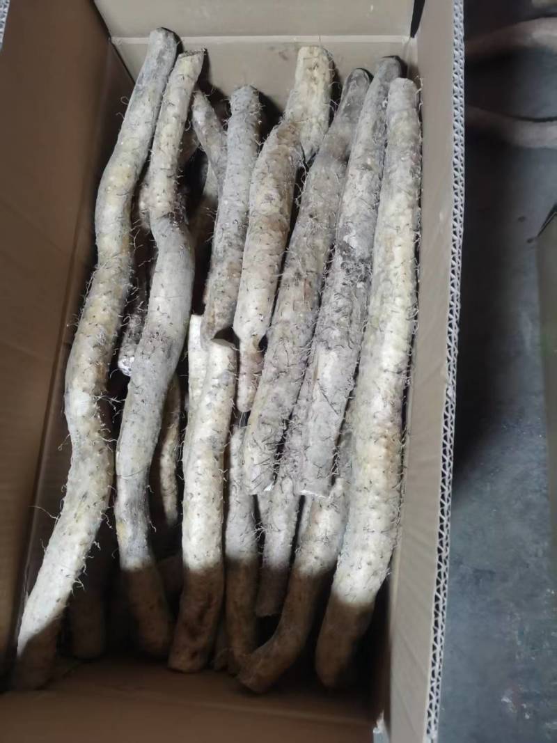 海拨二千一的生态野生山药，产地直发，品质保证，欢迎咨询