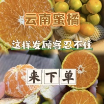 【云南蜜桔】精品蜜橘🍊产地直发量大从优可对接全国电商等