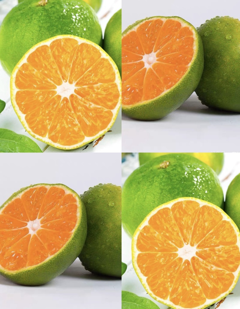 【云南蜜桔】精品蜜橘🍊产地直发量大从优可对接全国电商等