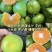 【云南蜜桔】精品蜜橘🍊产地直发量大从优可对接全国电商等