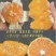 【云南蜜桔】精品蜜橘🍊产地直发量大从优可对接全国电商等
