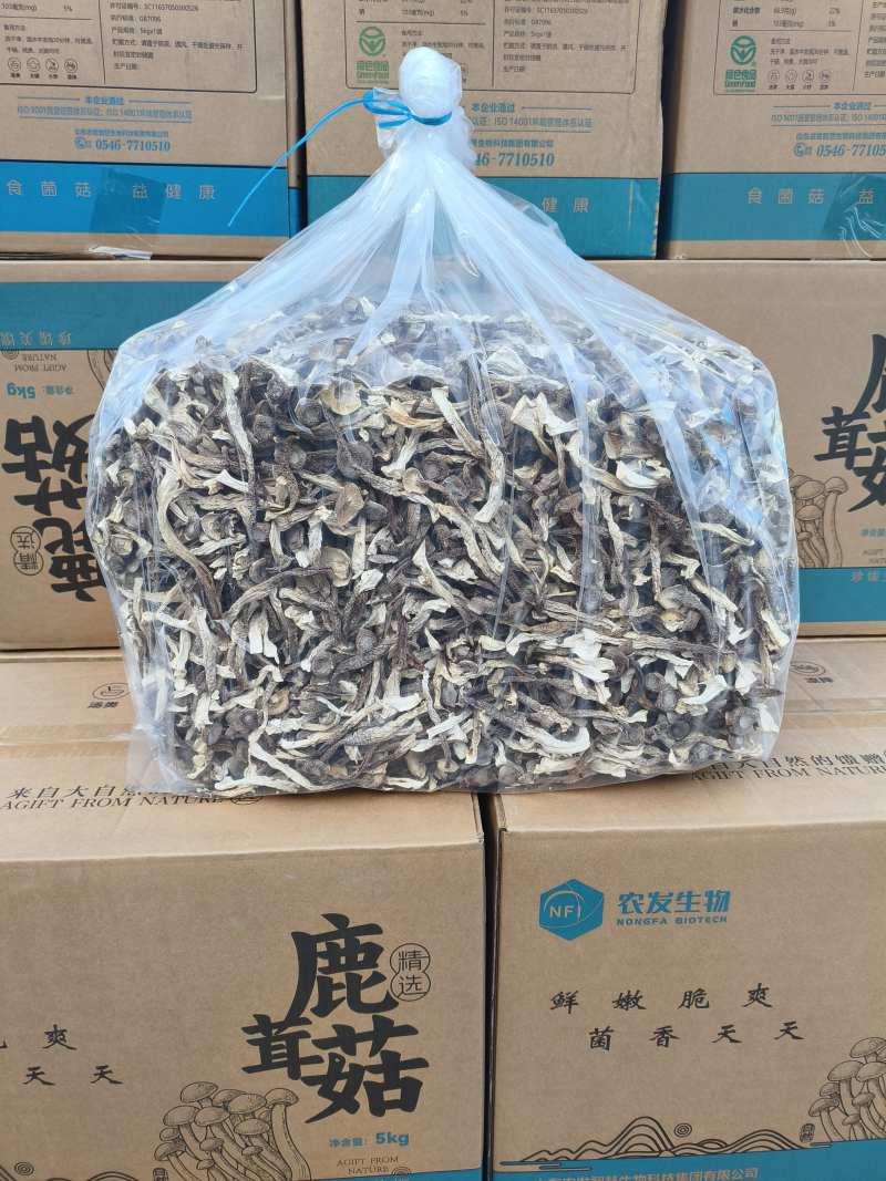 【精品】鹿茸菇干产地直销保质保量对接全国批发一件代发