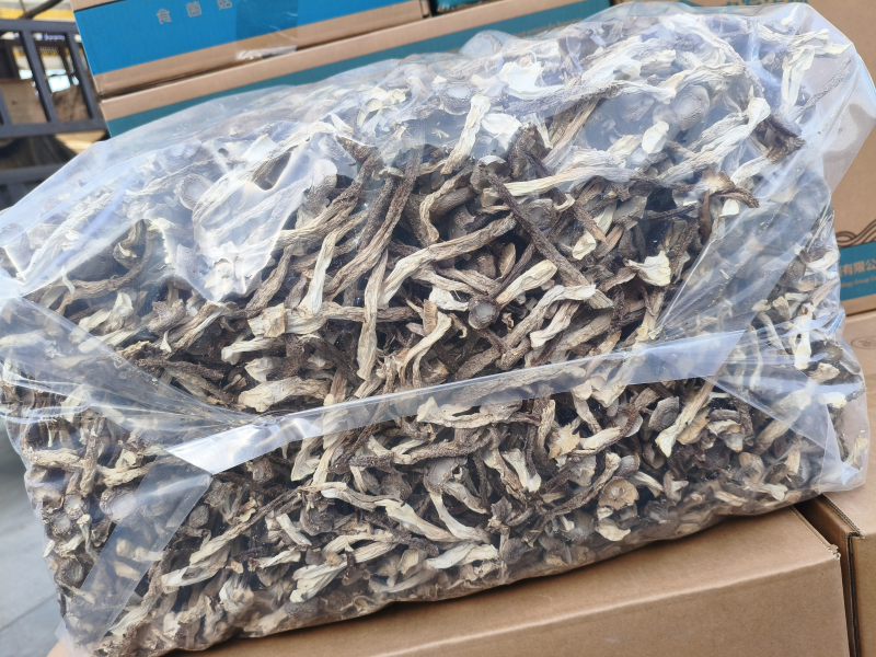 【精品】鹿茸菇干产地直销保质保量对接全国批发一件代发