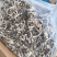 【精品】鹿茸菇干产地直销保质保量对接全国批发一件代发
