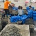 【海蛏子】福建漳州蛏子，支持视频看货，可发往全国市场！