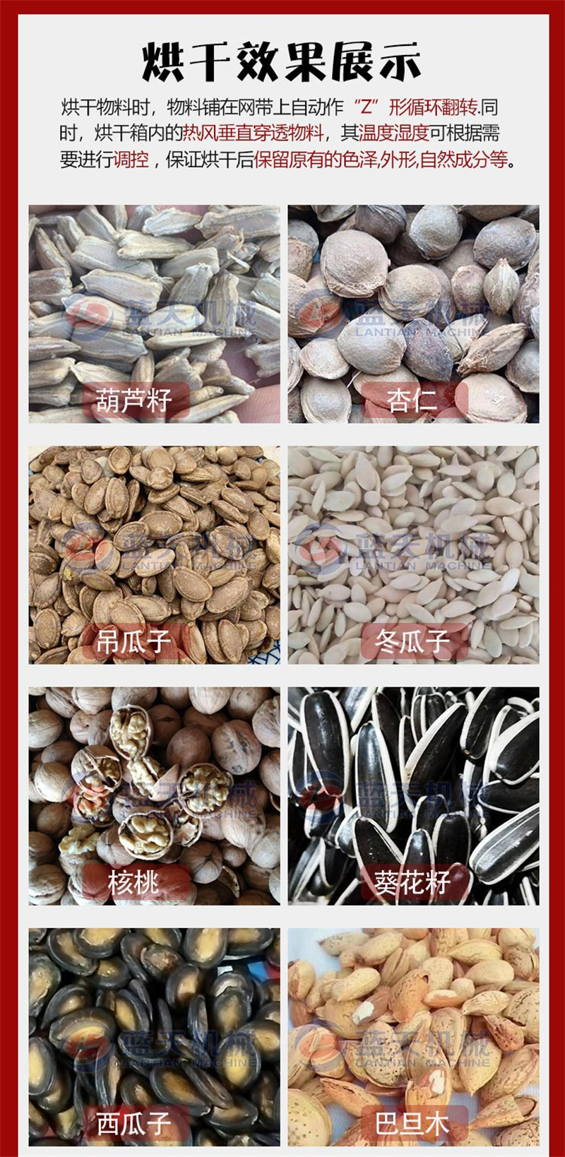 网带葫芦籽烘干机大型打瓜子葫芦瓜子南瓜籽葵花籽干燥机